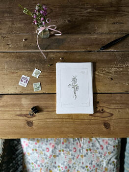 ‘Forget Me Not’ Botanical Spring Flower Notecard, 4 of 4