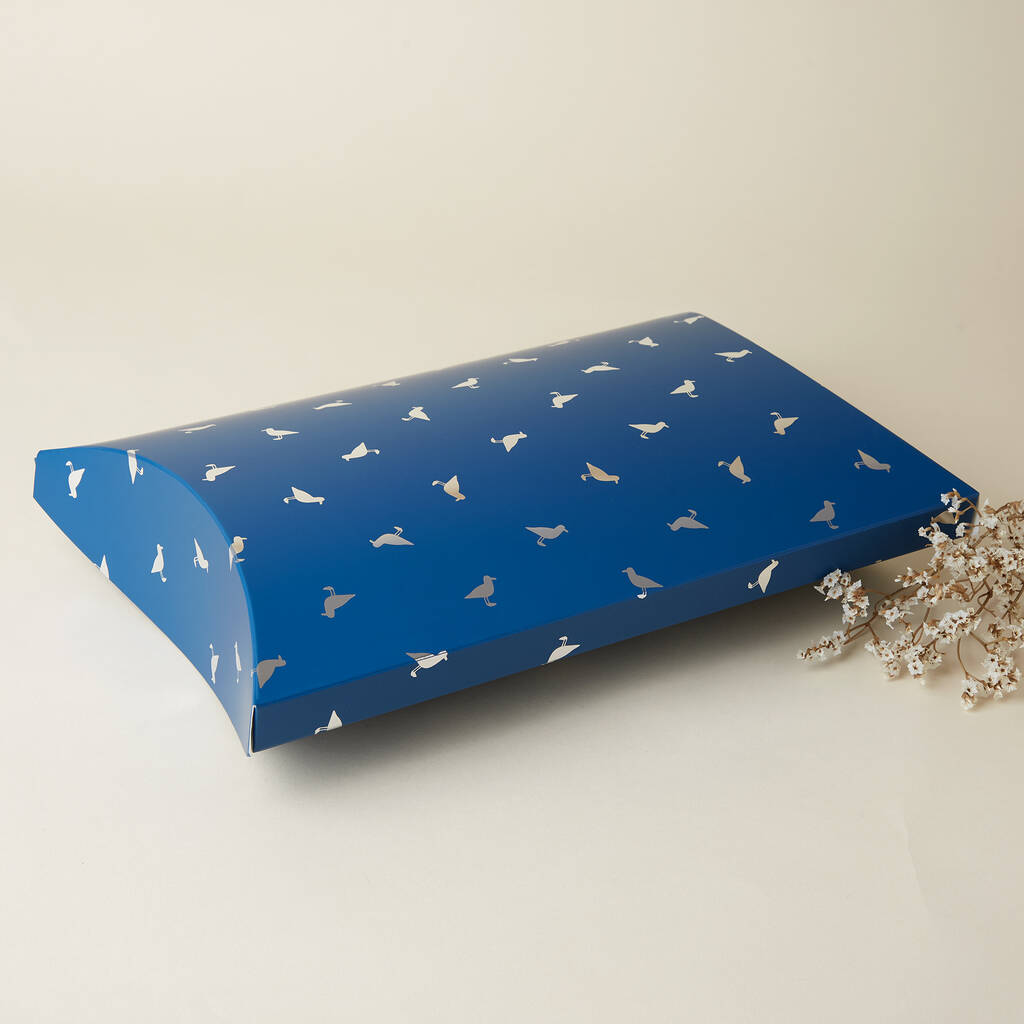 Large Teal Seagull Pillow Pack Gift Wrap Box Bag