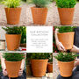 30th Birthday Personalised Plant Pot, thumbnail 3 of 5