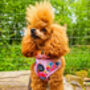 Cottage Floral Dog Harness, thumbnail 5 of 7