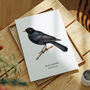 Wall Print Of A Blackbird, thumbnail 5 of 6
