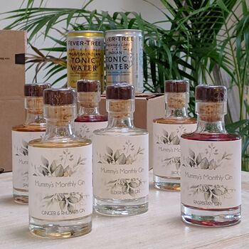Personalised Gin And Tonic Subscription, 7 of 7