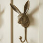 Woodland Hare Wall Hook, thumbnail 1 of 7