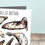 Seals Of Britain Greeting Card, thumbnail 7 of 7