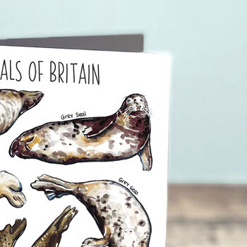 Seals Of Britain Greeting Card, 7 of 7