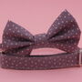 Purple Star Dog Bow Tie, thumbnail 5 of 8