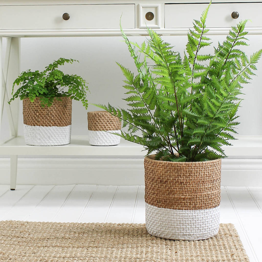 dipped rattan effect planter by marquis & dawe