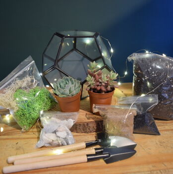 Black Geometric Terrarium Kit With Succulent Or Cactus, 6 of 10