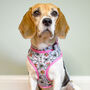 Pink Flower And Bee Dog Harness, thumbnail 1 of 10