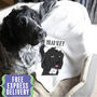 Personalised Cosy Blanket Gift For Dogs, thumbnail 1 of 12