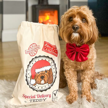 Personalised Dog Pet Christmas Santa Sack, 2 of 10
