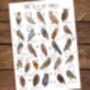 The A To Z Of Owls Print, thumbnail 4 of 6