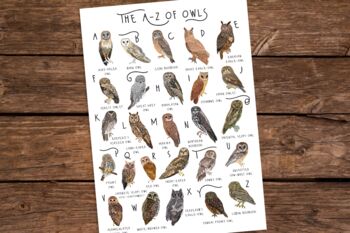 The A To Z Of Owls Print, 4 of 6