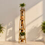 Solid Teak Corner Shelf Unit Wooden Shelving Unit, thumbnail 1 of 5