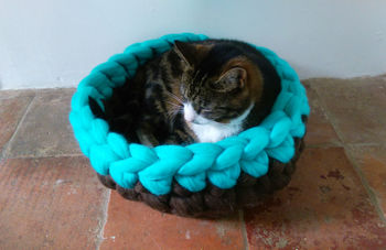 Cat Bed Crochet Wool Chunky Yarn Choice Of Colours, 7 of 8