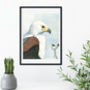 Framed Vintage Eagle Print, Natural History Bird Art, thumbnail 1 of 5