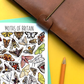 Moths Of Britain Greeting Card, 2 of 9