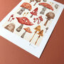 Toadstool A4 Recycled Art Print, thumbnail 4 of 5