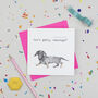 'Funimals' Mixed Pack Of Eight Cards, thumbnail 9 of 9