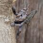 Fairy Garden Ornament Pixie Tree Hugger Wall Mounted, thumbnail 8 of 8