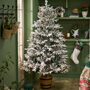 Halden Snowy Pre Lit Potted Christmas Tree, thumbnail 1 of 4