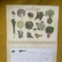 2026 Calendar UK Seasonal Fruit And Vegetable Calendar, thumbnail 7 of 12