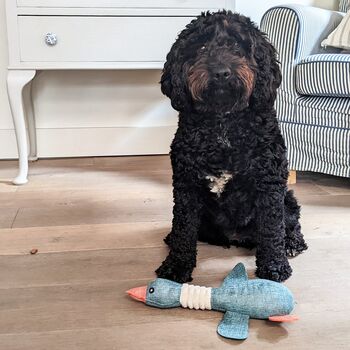 Squeaky Toy Duck For Dogs, 4 of 4