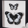 Personalised Butterfly Wall Art Birthday Gift For Her, thumbnail 4 of 6