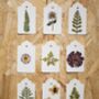 10 Pressed Flower And Leaves Gift Tags Assorted, thumbnail 1 of 4