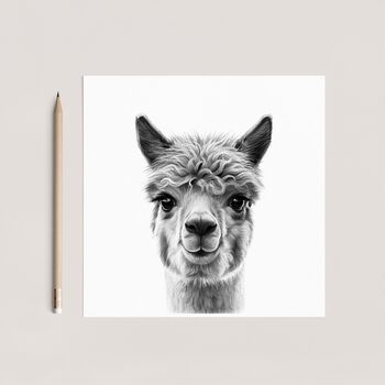 Fun Hand Drawn Llama Greeting Card Illustration, 3 of 6