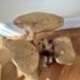 Varnished Teak Root Wooden Plant Multi Level Stand, thumbnail 12 of 12