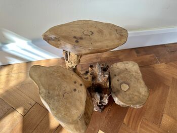 Varnished Teak Root Wooden Plant Multi Level Stand, 12 of 12