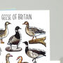 Geese Of Britain Greeting Card, thumbnail 5 of 7
