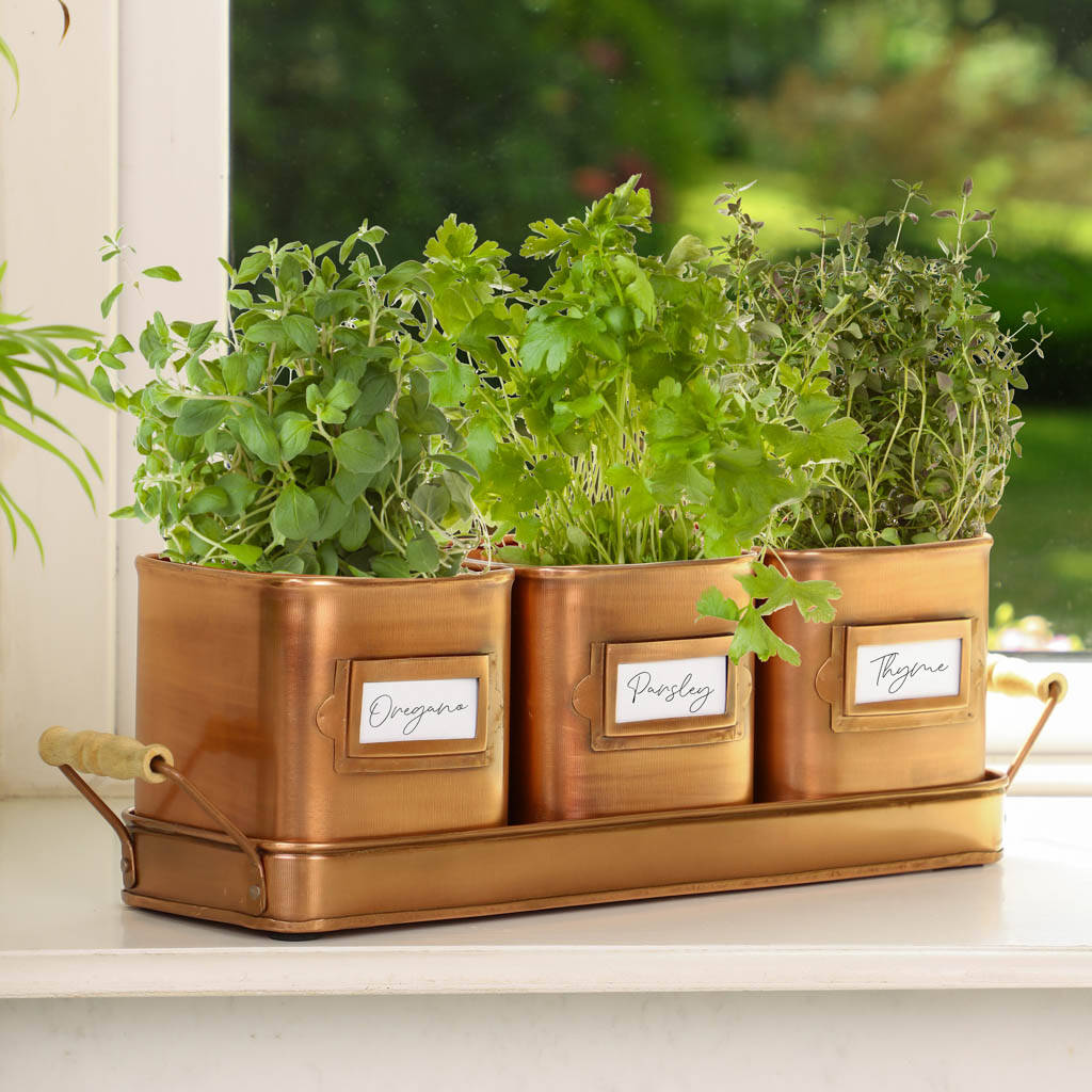 Copper Herb Plant Pot Trio And Tray By Dibor