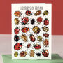 Ladybirds Of Britain Art Blank Greeting Card, thumbnail 1 of 11