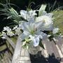 White Lily Gift Bouquet, thumbnail 10 of 10