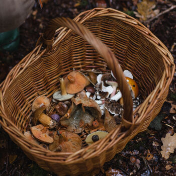 Autumn Foraging Workshop For One In The South Downs, 2 of 12