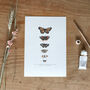 ‘Butterfly Chart’ A5 Giclée Art Print, thumbnail 3 of 3