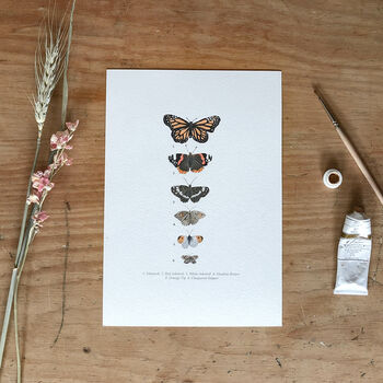 ‘Butterfly Chart’ A5 Giclée Art Print, 3 of 3
