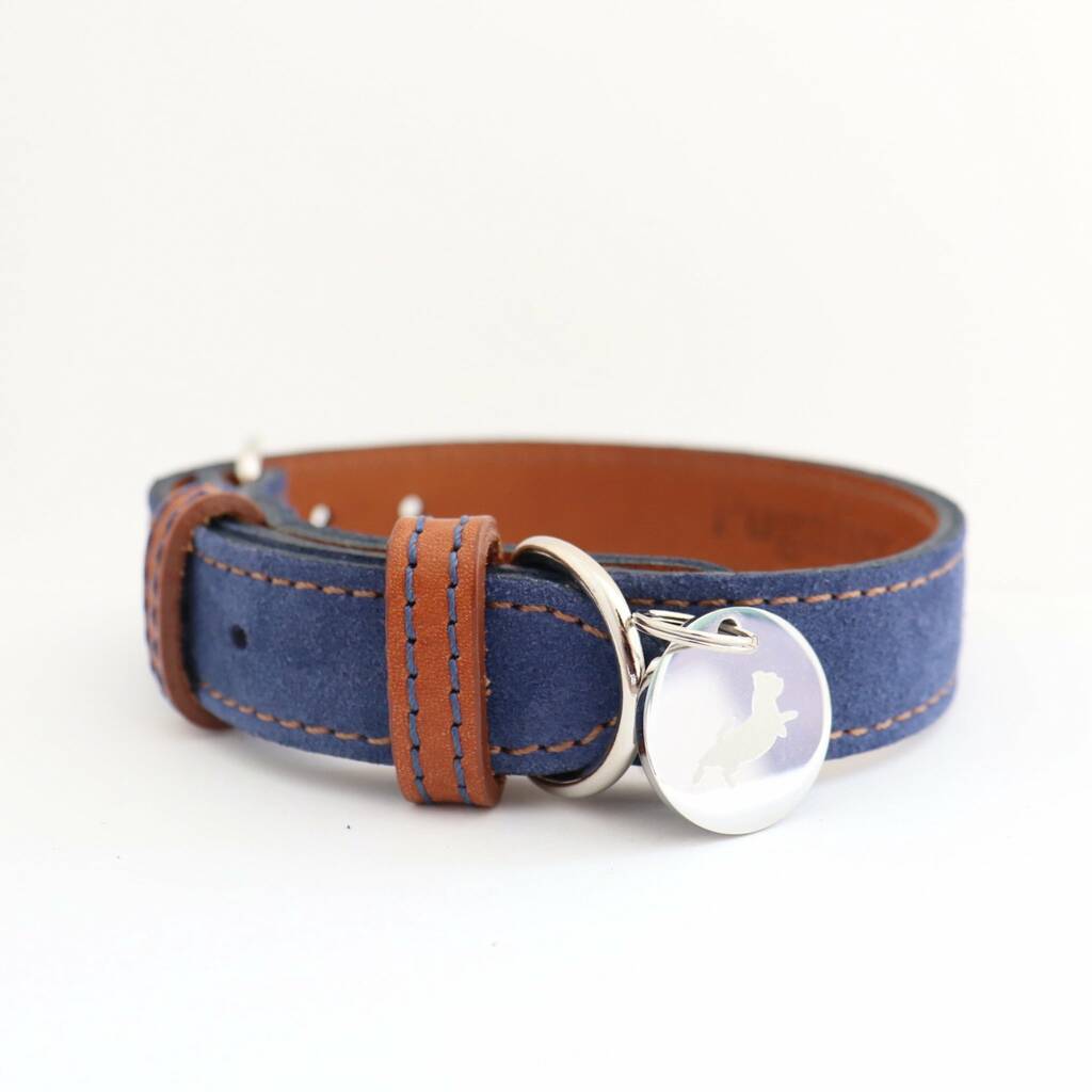 Blue Leather Dog Collar By Pugalier Of London