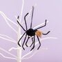 Personalised Felt Spider Hanging Halloween Decoration, thumbnail 1 of 5