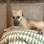 Olive Diamond Piped Dog Bed, thumbnail 2 of 7