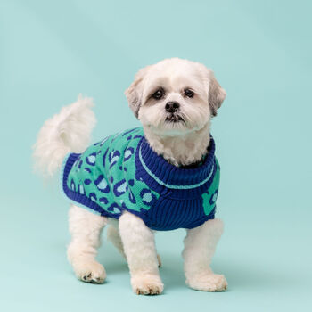 Leo Knitted Dog Jumper, 2 of 4