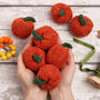 Mini Knitted Pumpkin Kit Halloween, thumbnail 1 of 4