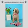 Pink Floral Dog Bow Tie, thumbnail 4 of 4