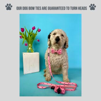 Pink Floral Dog Bow Tie, 4 of 4