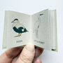 Tiny Book Of Coastal Birds Handmade Mini Nature Book, thumbnail 3 of 8