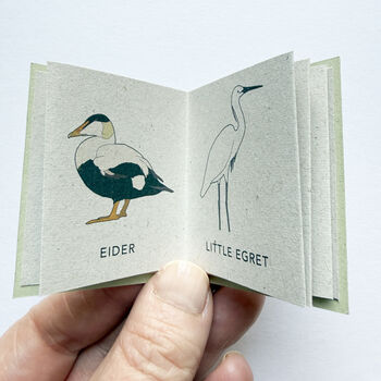 Tiny Book Of Coastal Birds Handmade Mini Nature Book, 3 of 8