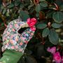 Nuturing Garden Gift Box, thumbnail 8 of 9