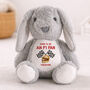 Personalised F1 Fan Bunny Plush Gift, thumbnail 1 of 3
